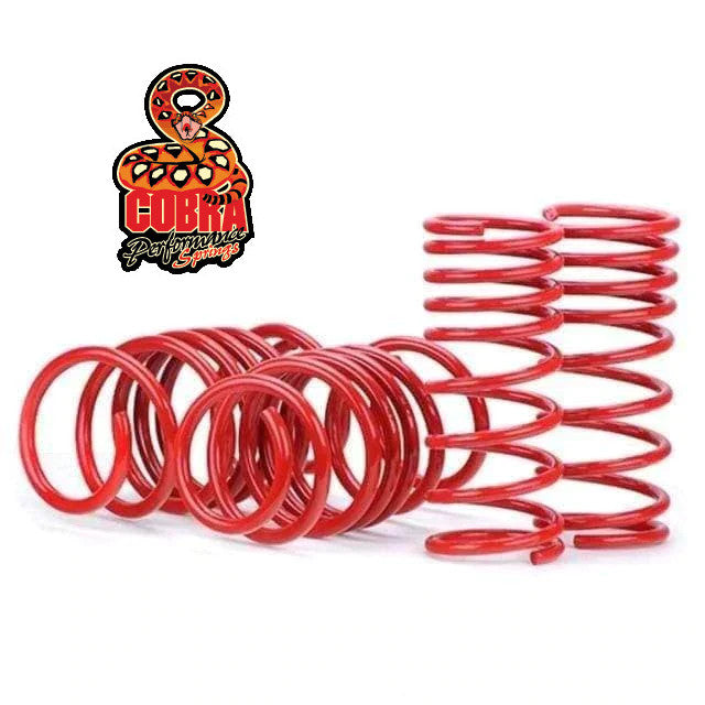 Lowering Springs